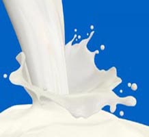 ITC to make a big splash in milk